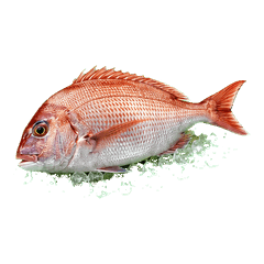 日本の鮮魚店