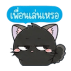 Black cat mania