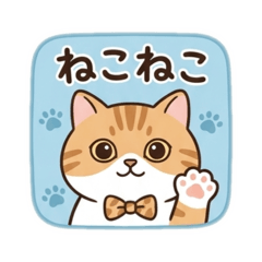 coco_20260623165452