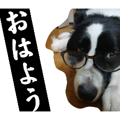 subutano.painappuru_20260623171132