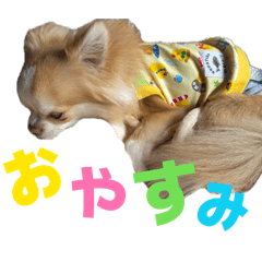 Natsumi_20260623171312