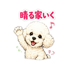 tad_20260623170801