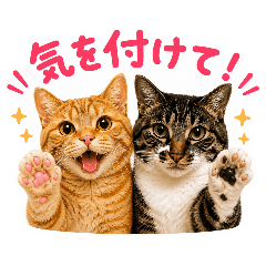 hanakote