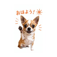 Omamori_20260623174358