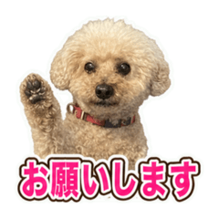 nishi_20260623175930