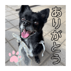 yuka_20260623180324