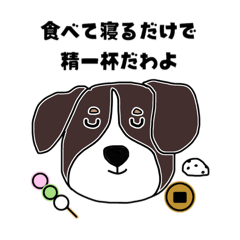 shirasuchan_20260623182431
