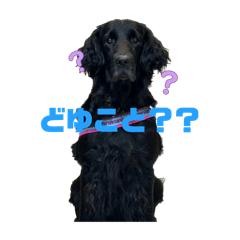 sekinerio_20260623173013
