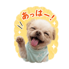 momo_20260623193423