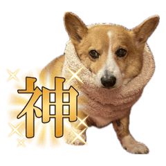 kana_20260623193507