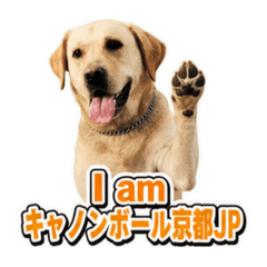 Tomoki_20260623200605