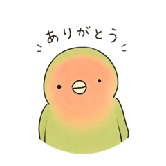 mipom_20260623200932