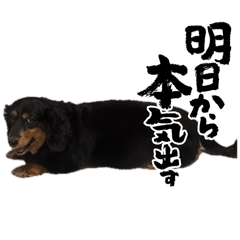 shuto_20260623201522