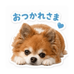 iko_20260623203458