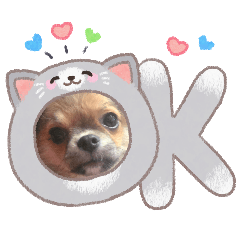mugicha_cha20260623203826