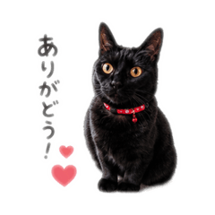 nishi_20260623205758