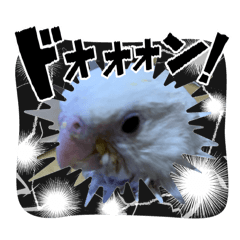 Rieko_20260623210138