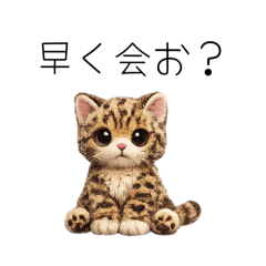 mijinko_20260623210504