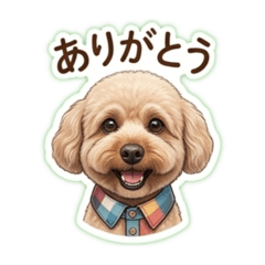 moka_20260623212421