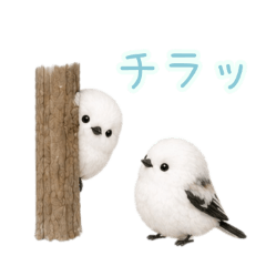 PAKAMOGOLY_20260623212712