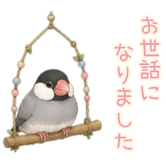 PAKAMOGOLY_20260623212848