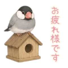 PAKAMOGOLY_20260623213031