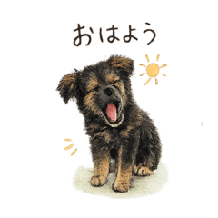 yu_20260623213350