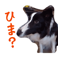 subutano.painappuru_20260623214720