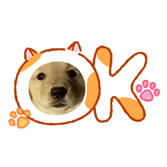 Ryota_20260623221014