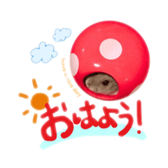rucchan_20260623220707