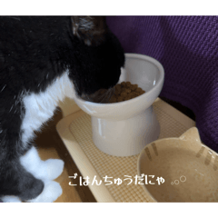 taisei_20260623220939