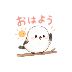 Tomo_20260623215615