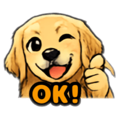 YAPPY_20260623220725