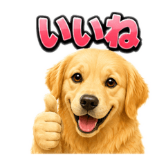 YAPPY_20260623220902