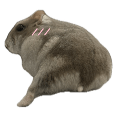 defuku_20260623221653