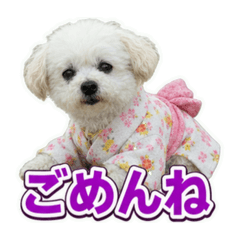 momobanstamp_20260623221516