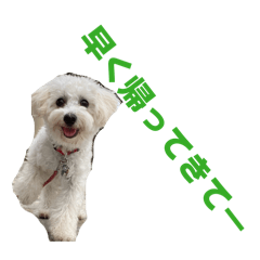 yoshitomo_20260623222651