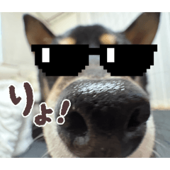kira_20260623222412