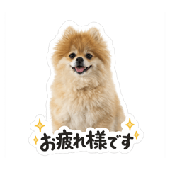 kinako_20260623222500