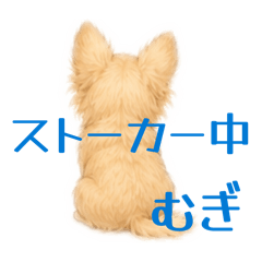 yoyo0129_20260623222223