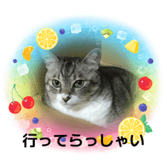 Neko_20260623223436