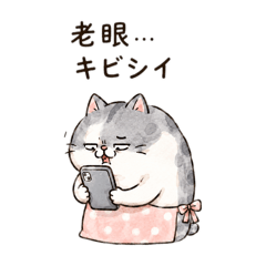 kinako_20260623222846