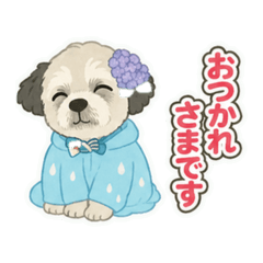 MUTSUKO3