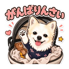 momo_20260623225803
