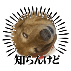 mai_20260623232939