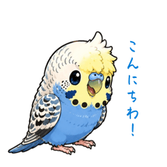 taiga_20260623233411