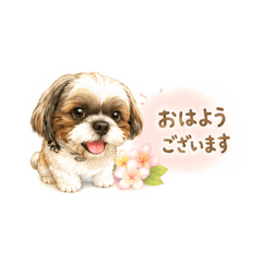 yuyu_20260623234043