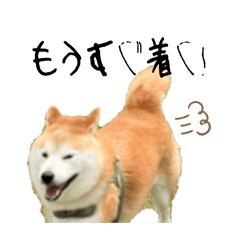 shibafu_20260623234045