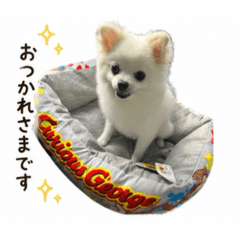 yuchi_20260623233815