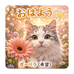 SakuraMotti_20260623233308
